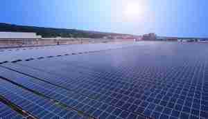 中美硅晶与牛牛游戏光电携手战略合作